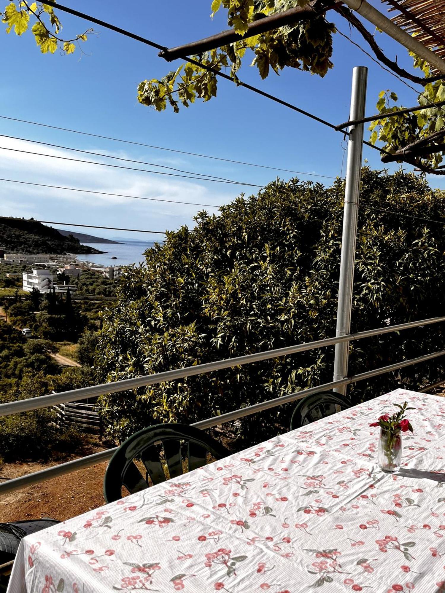 Sea Horizon House Alexis Hotel Himare Exterior foto